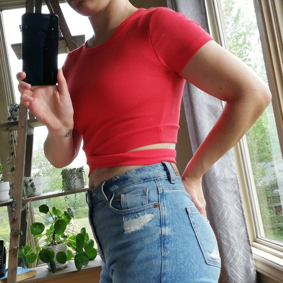 New crop top - wrap detail - Dynamite - Picture 3 of 6